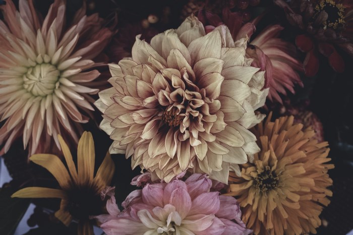 Close up of a bouquet of faded flowers