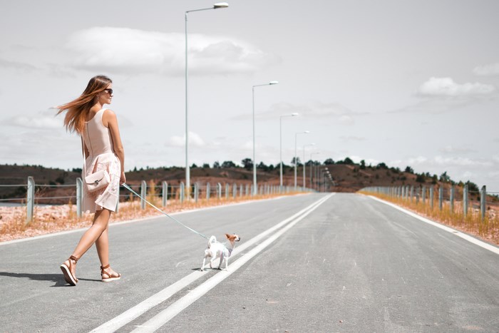 Woman walking a small dog on a leash on an open road