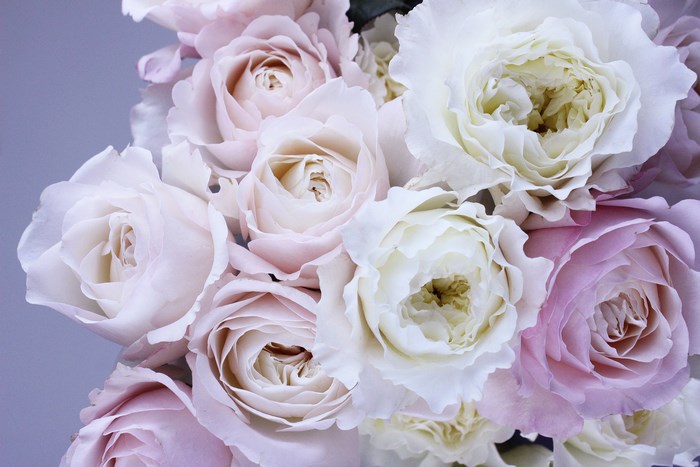 Pastel pink and white roses bouquet