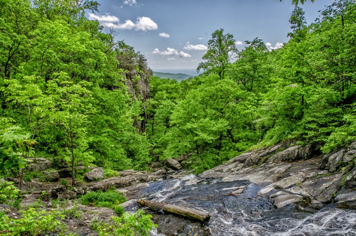 Rocky river flowing through a green forest with mountains in the distance