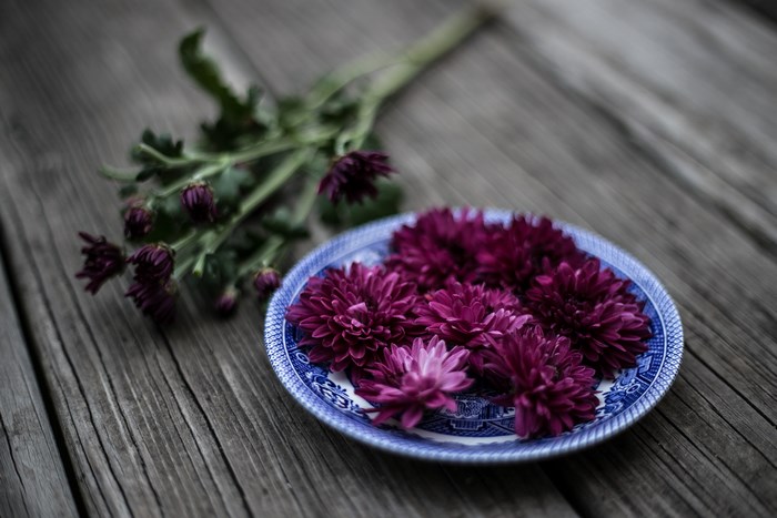 Purple flowers on a blue and white plate on a wooden table
