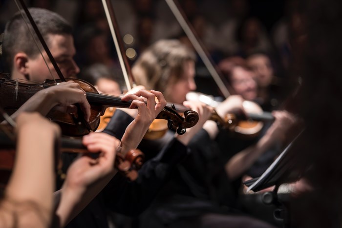 Orchestra playing violins in a concert