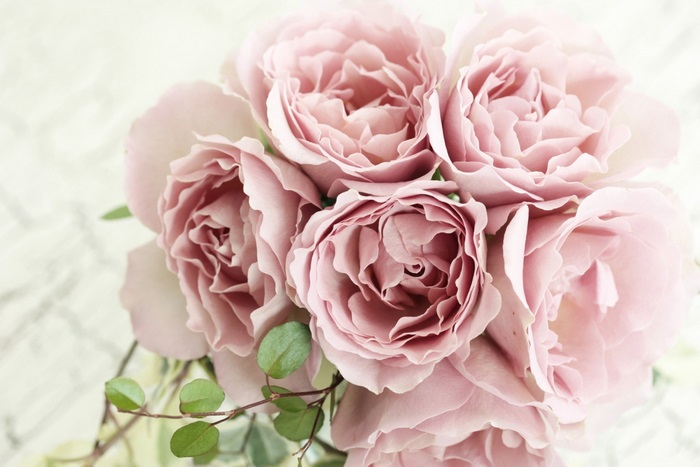 Delicate Pink Roses Bouquet with Green Leaves