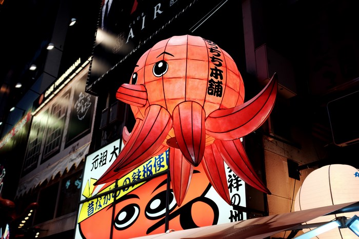 Osaka Octopus Lantern at Night