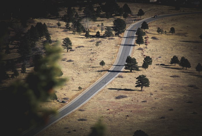 Road through a dry, grassy landscape with scattered trees