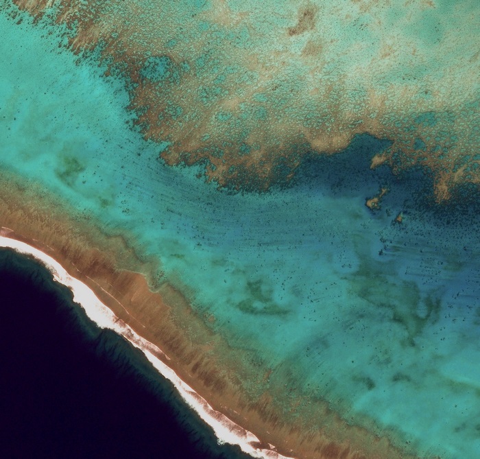 Aerial view of a coral reef and ocean
