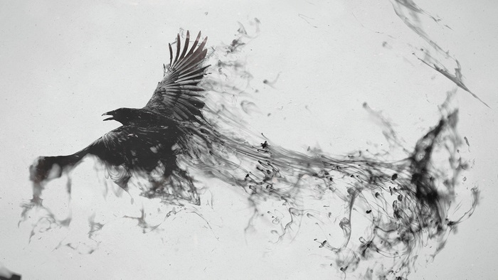 Raven dissolving into ink 4K