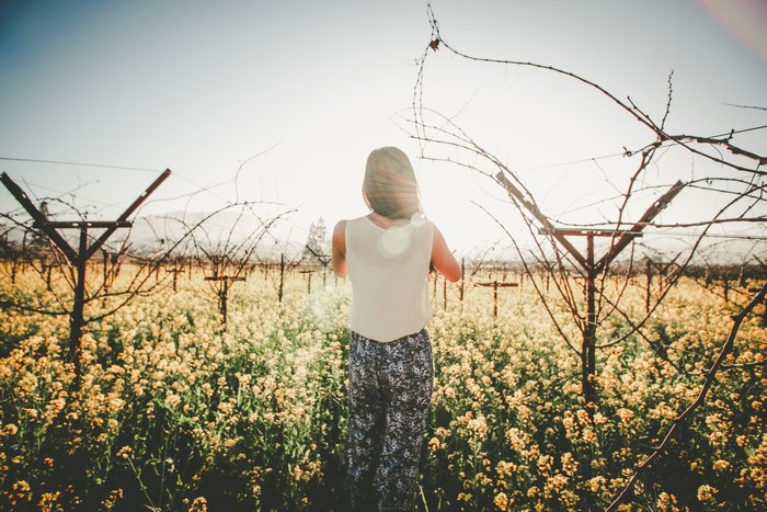 Woman in a field of yellow flowers at a vineyard