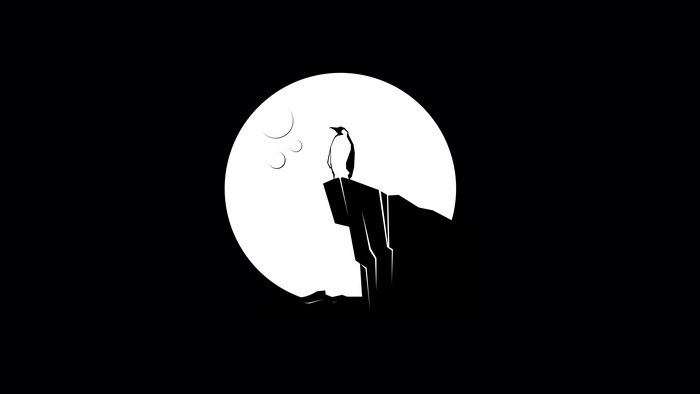 Penguin on a cliff with moon