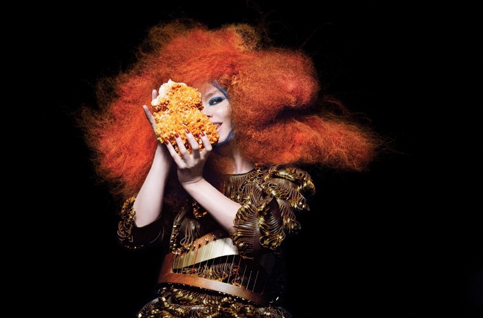 Bjork with orange hair and costume