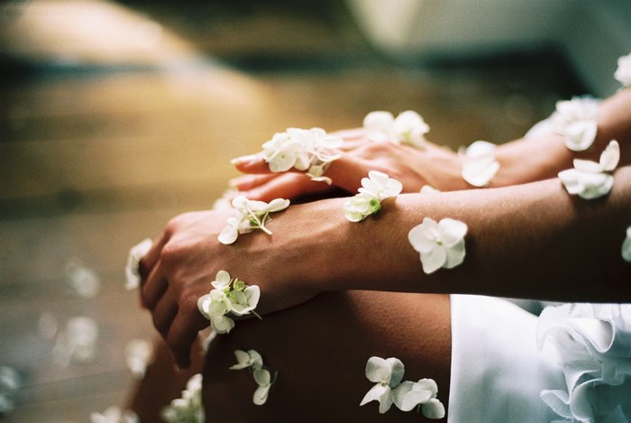 Close-up of hands with white flower petals