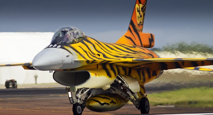 General Dynamics F-16 Fighting Falcon with tiger livery