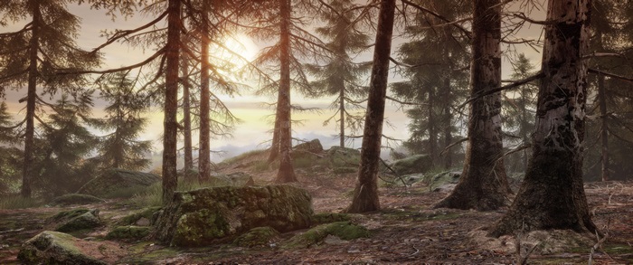 Syberia 3 4K forest landscape