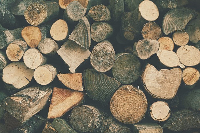 Pile of chopped firewood with visible tree rings