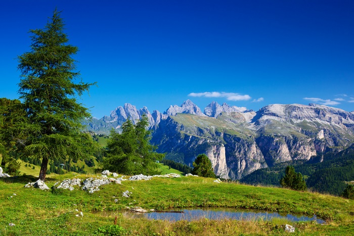 4K Scenic View of Alpine Mountains and Green Meadow