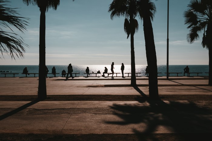 Silhouettes of people on a promenade by the sea with palm trees