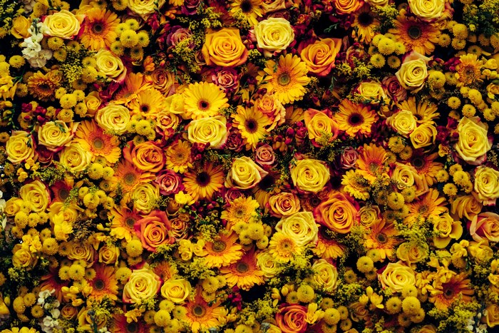 A dense arrangement of yellow and orange flowers