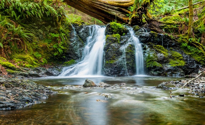 Waterfall flowing over mossy rocks in a forest