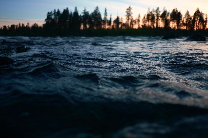 River and forest at sunset