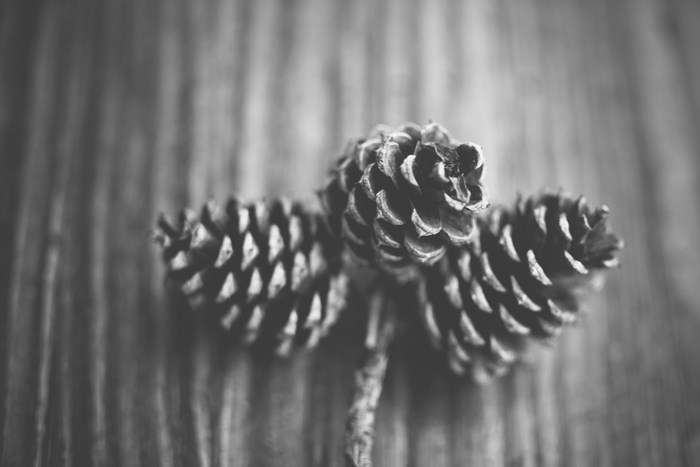 Three pinecones on a wooden surface