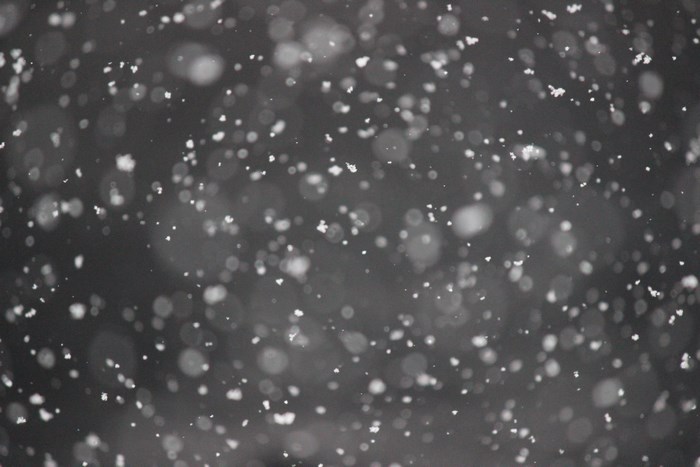 Snowfall in Colorado during winter
