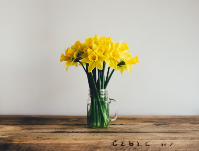 Yellow daffodils in a glass jar on a wooden table