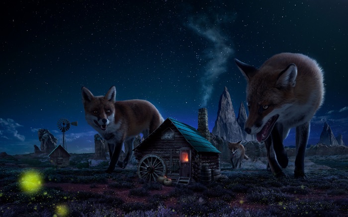 Foxes near a cabin under a starry night sky