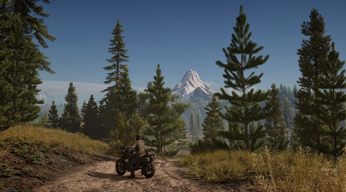 Days Gone 4K