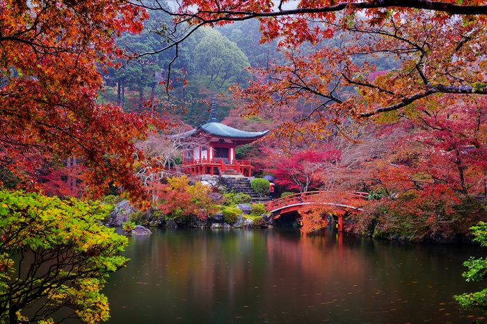 4K Daigo-ji Temple in Autumn