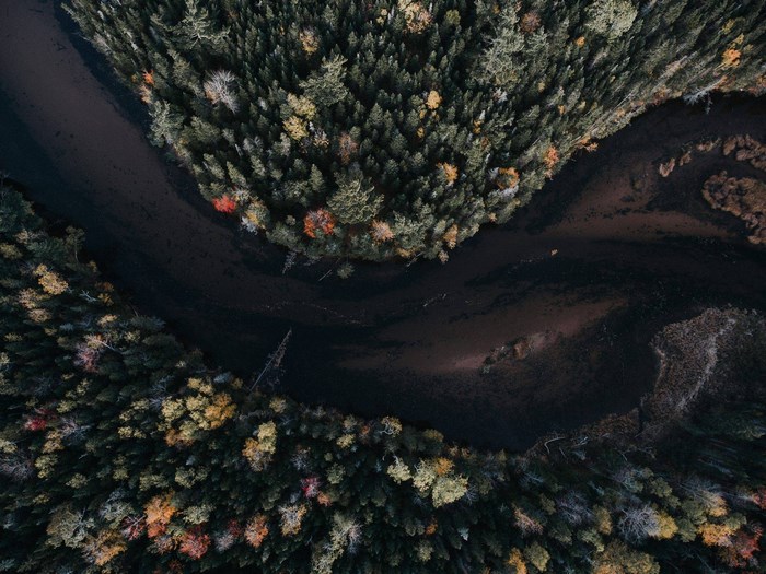Aerial view of a winding river through an autumn forest