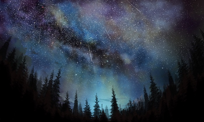 Night sky with shooting stars over a forest