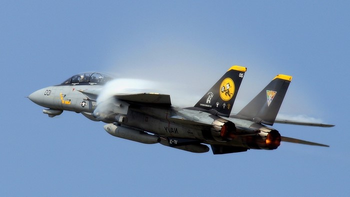 F-14 Tomcat fighter jet in flight