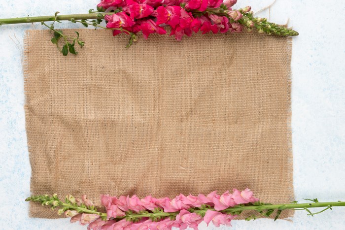 Pink and red snapdragons on burlap