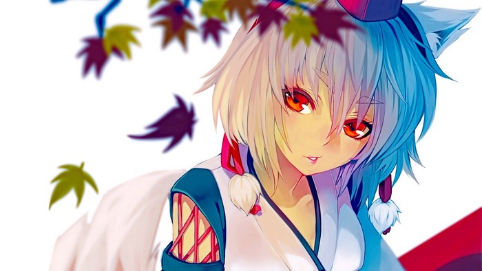 Inubashiri Momiji from Touhou Project