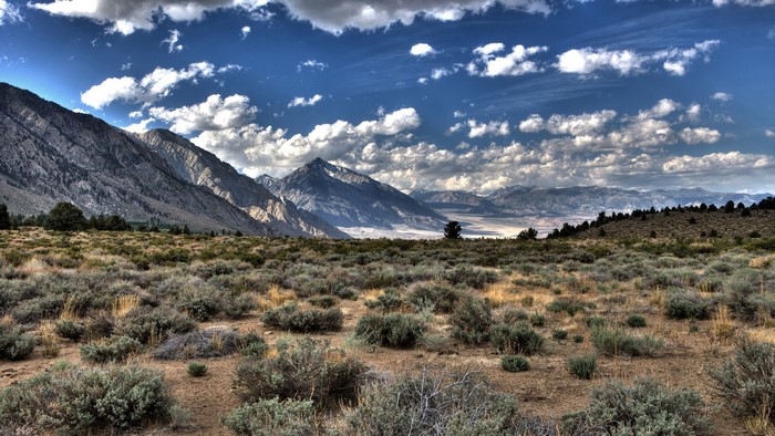 Mountain Landscape with Clouds and Desert Scrub