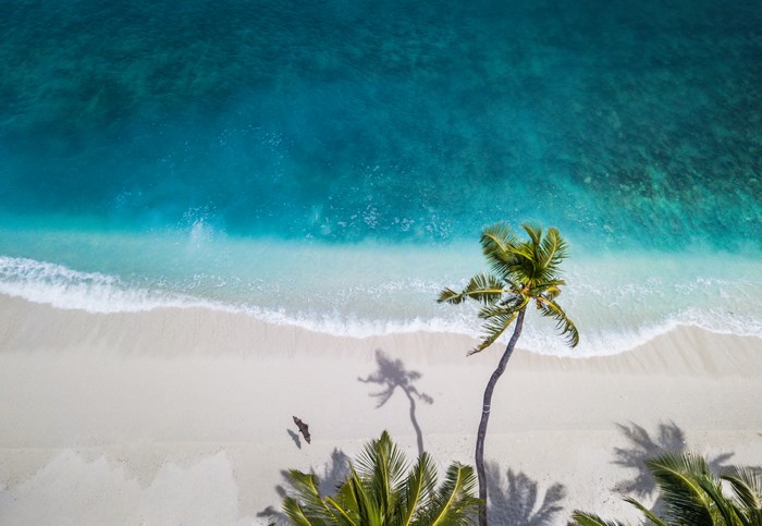 Aerial view of a tropical beach with a palm tree and a person