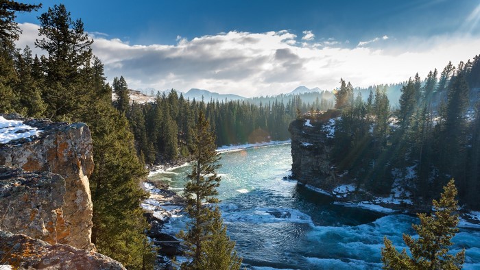 Tranquil River Flowing Through Pine Forest in Canada
