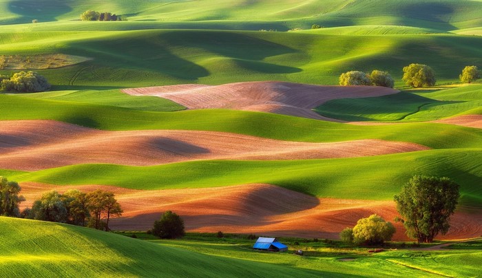 Rolling green hills and fields in Palouse, Washington, USA