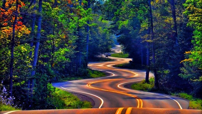 Winding road through a colorful forest