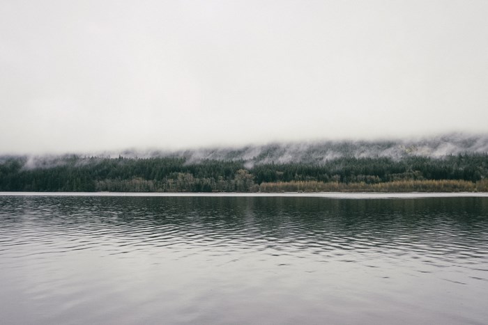 Foggy forest and lake on a cloudy morning