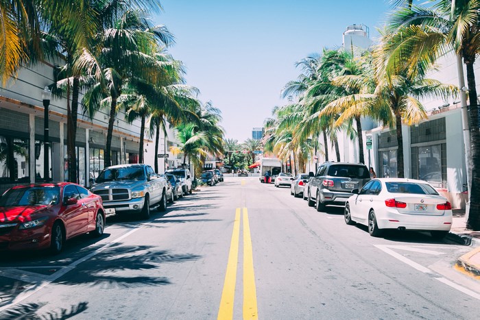 Street lined with palm trees and parked cars in a city