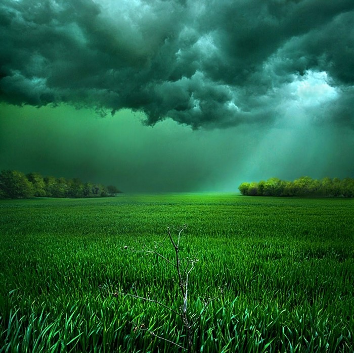 Stormy green field with trees and sunlight
