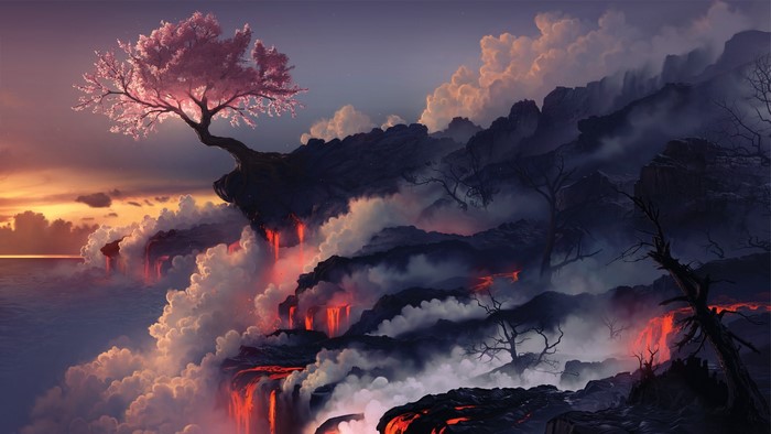 Cherry blossom tree on cliff overlooking lava and ocean at sunset