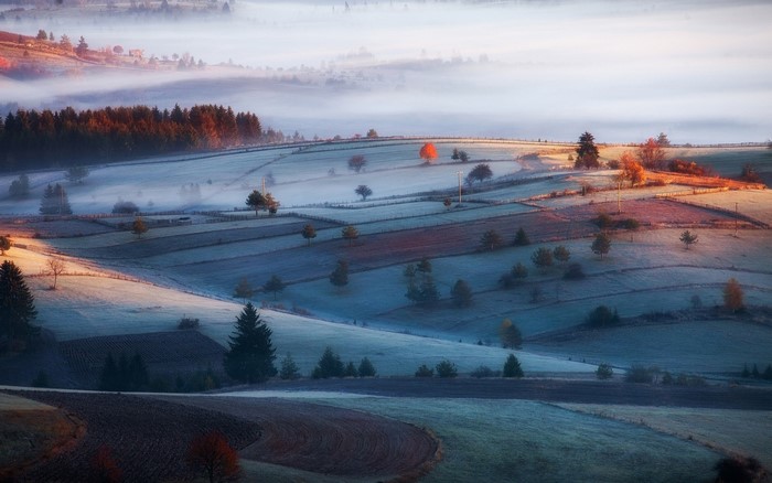 Misty rolling hills at sunrise with frost