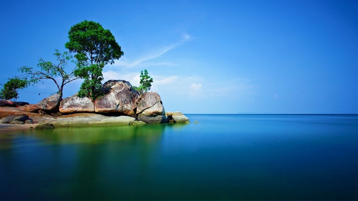 Serene Rocky Shoreline with Trees and Calm Sea