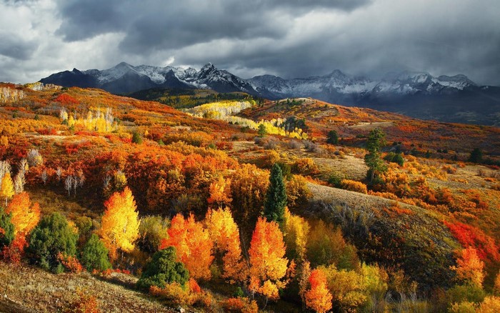 Autumn mountain landscape with colorful trees and snowy peaks
