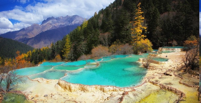 Turquoise Terraces in a Mountainous Forest Landscape