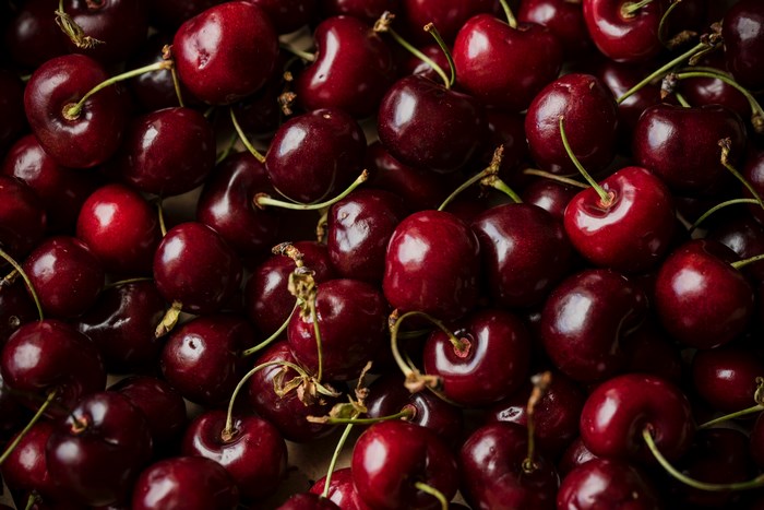 Close-up of ripe, dark red cherries with stems