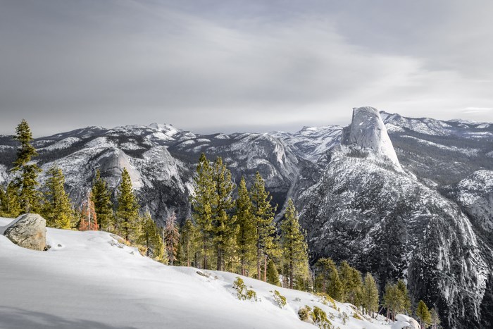 Snowy Yosemite Half Dome Pine Forest Landscape