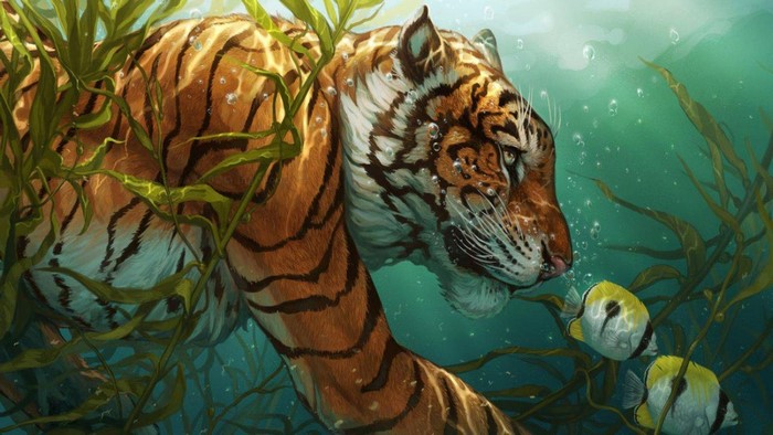 Tiger swimming underwater with fish and seaweed